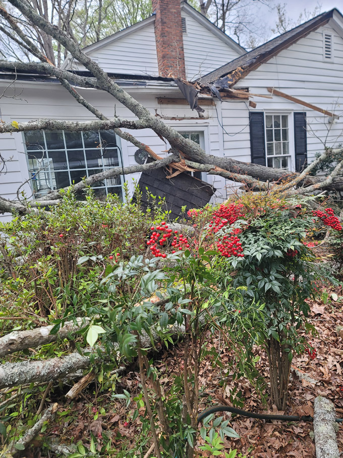 Emergency Tree Service Conyers GA